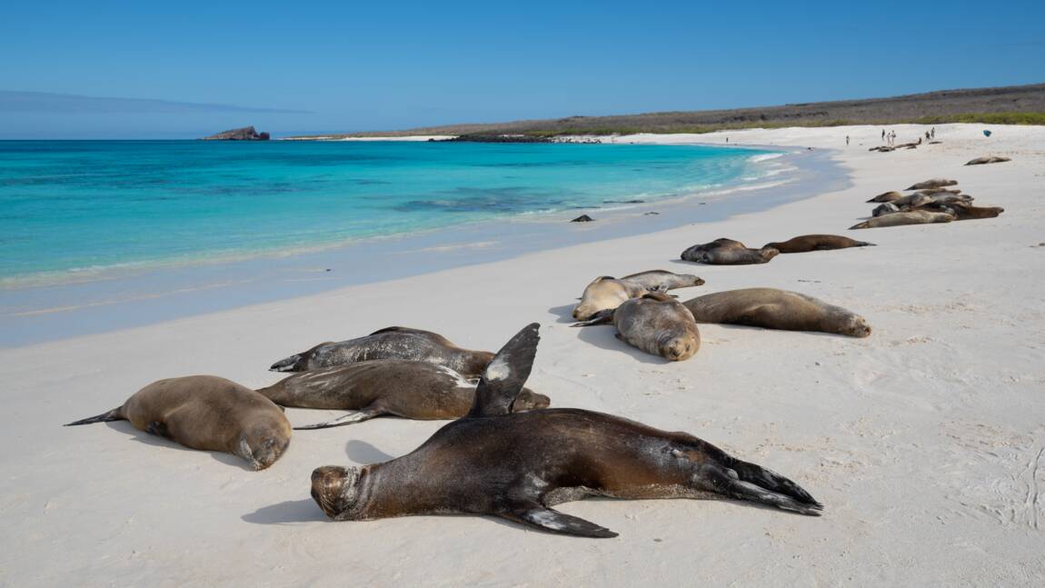 Partez à la découverte des Galápagos en croisière