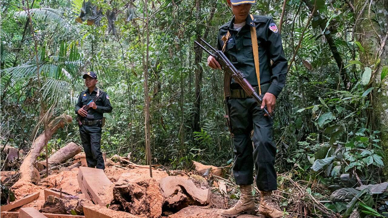 Cardamomes : la forêt enchantée du Cambodge risque-t-elle de disparaître ?
