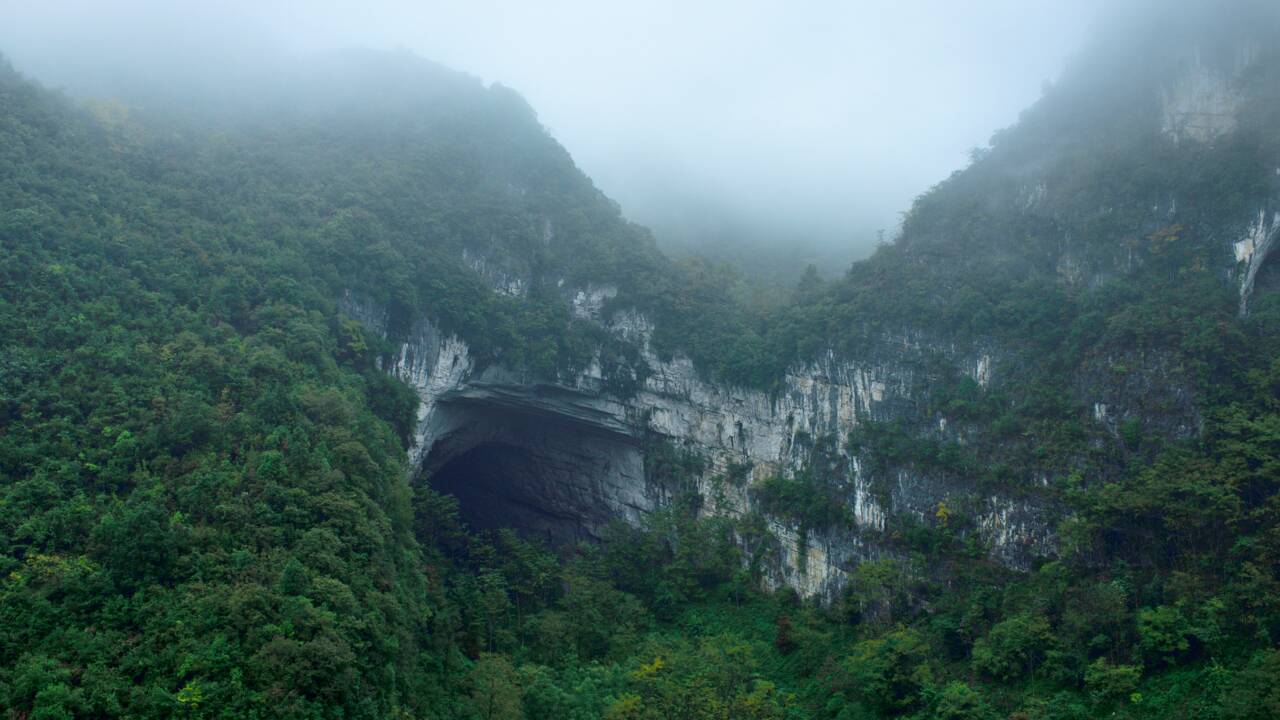 Un gouffre géant avec une forêt à l'intérieur découvert en Chine