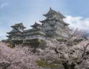 Tourisme : le Japon ne va pas rouvrir ses portes aux touristes cet été