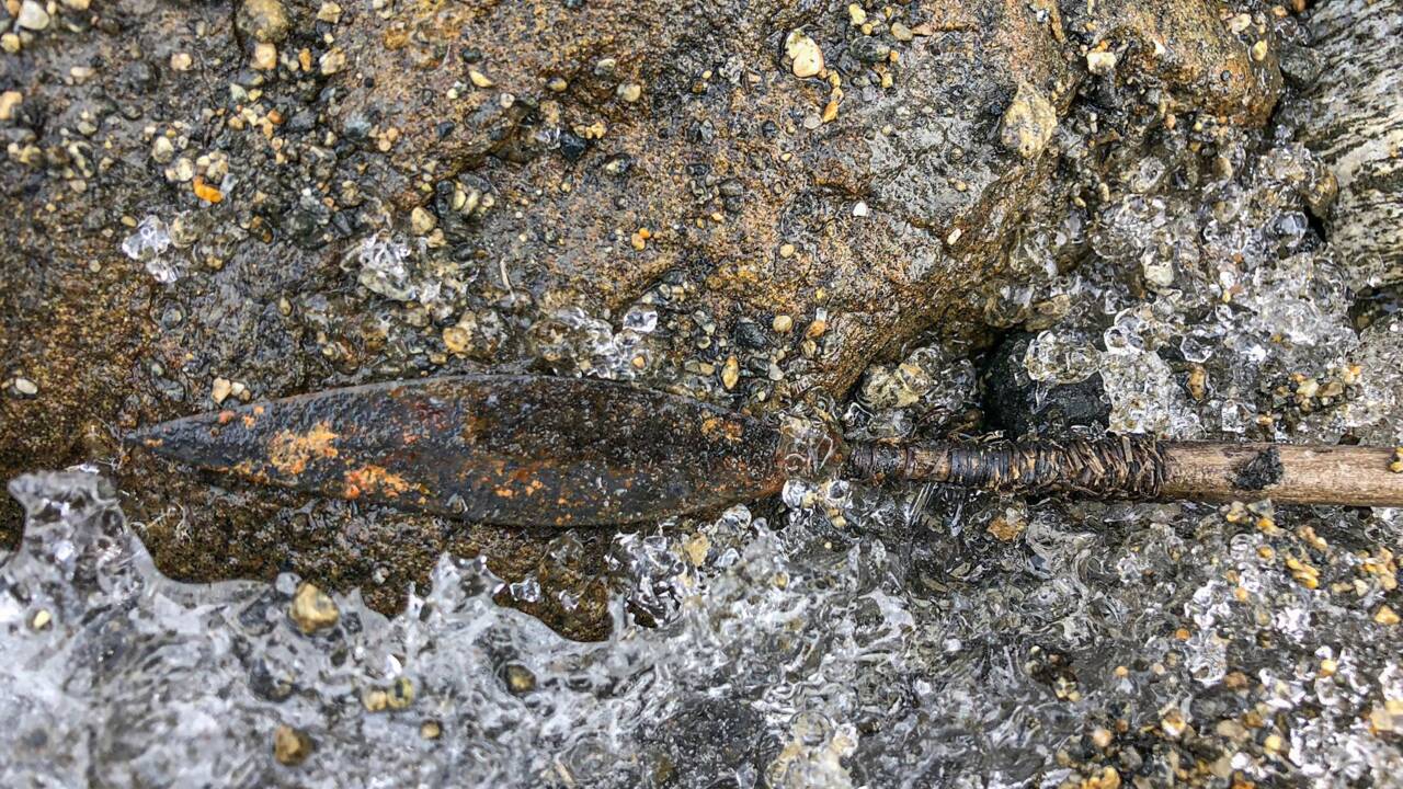 En Norvège, une flèche de l’âge de fer portant encore ses plumes a été découverte