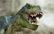 Lille: Dinosaur theme park opens in June
