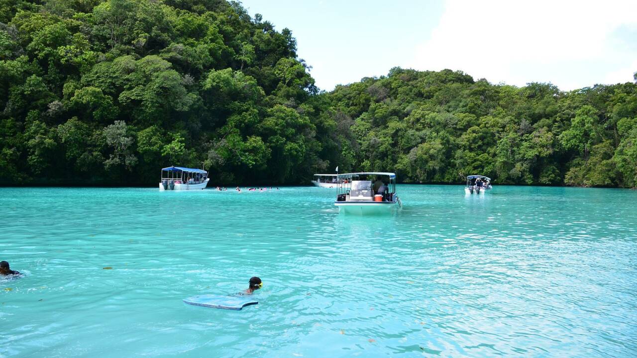 Au Palau, les touristes notés en fonction de leur respect de l'environnement et de la culture