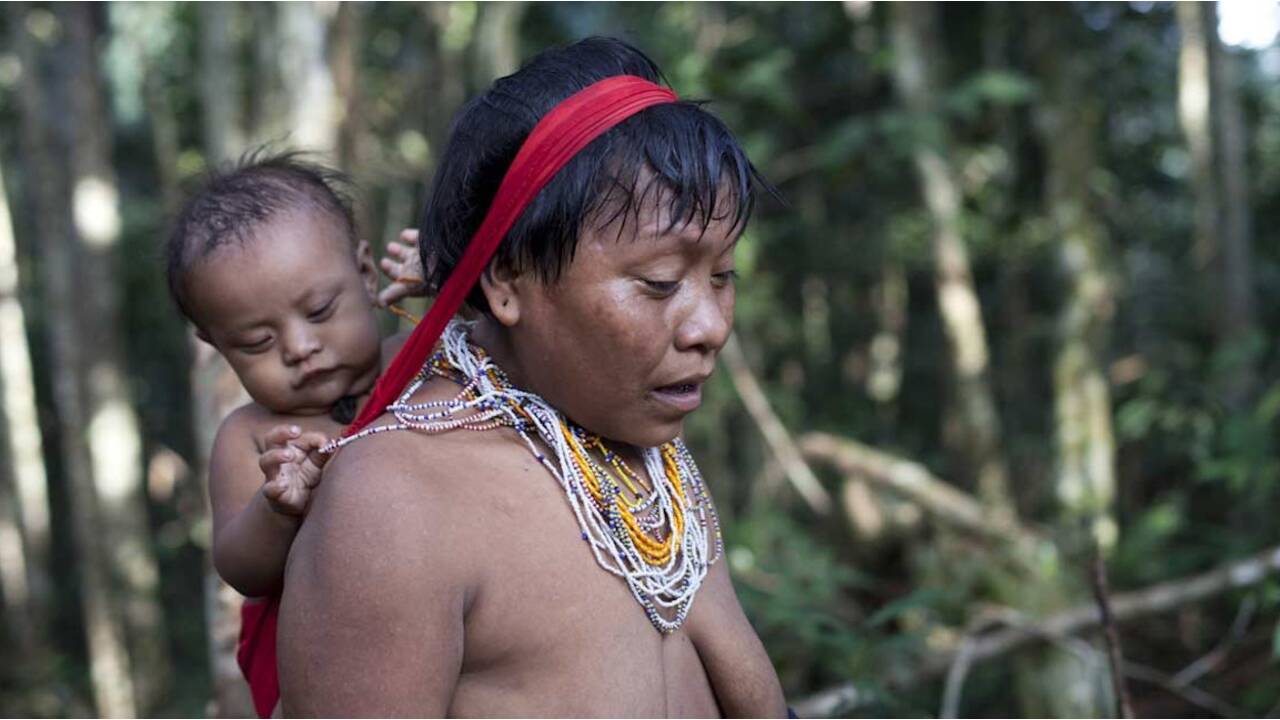 Triste anniversaire pour la réserve du peuple Yanomami au Brésil