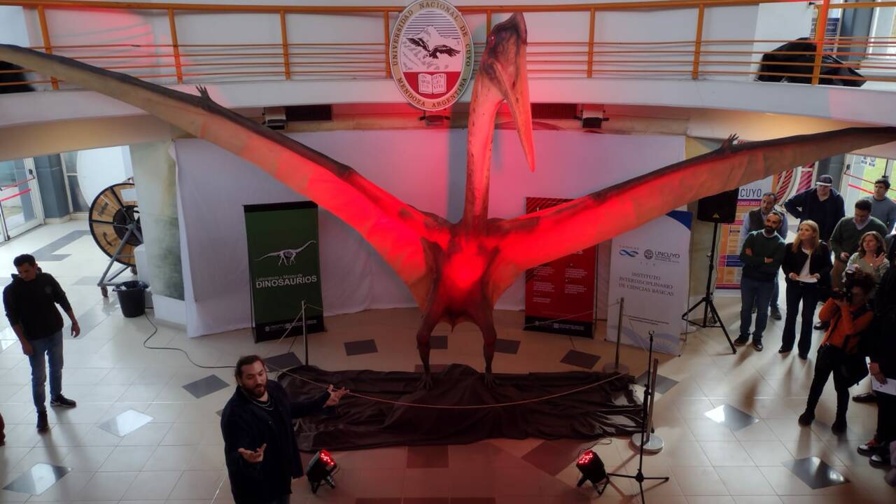 "Dragon de la mort" : un immense ptérosaure de 86 millions d'années exhumé en Argentine 
