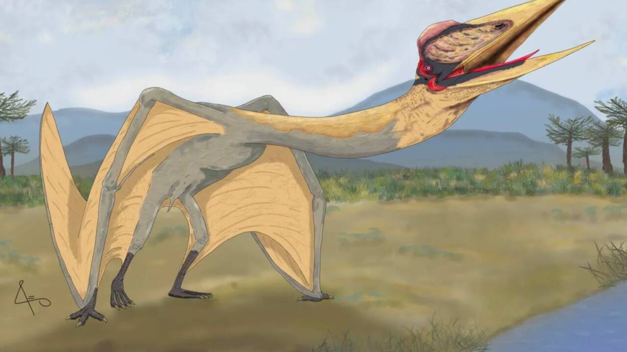 "Dragon de la mort" : un immense ptérosaure de 86 millions d'années exhumé en Argentine 