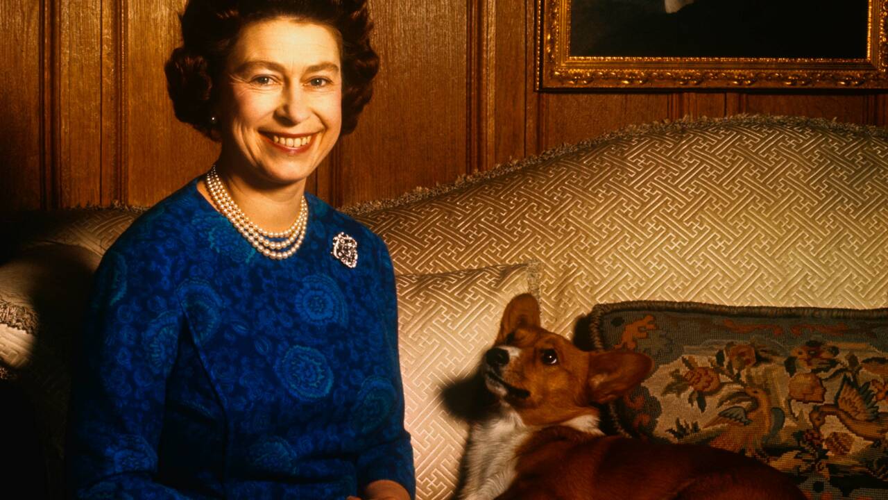 Les chiens corgis, autres vedettes des fêtes du jubilé de la reine Elizabeth II