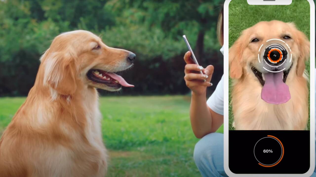 L’application "Petnow" permet d’identifier les chiens grâce à leur truffe