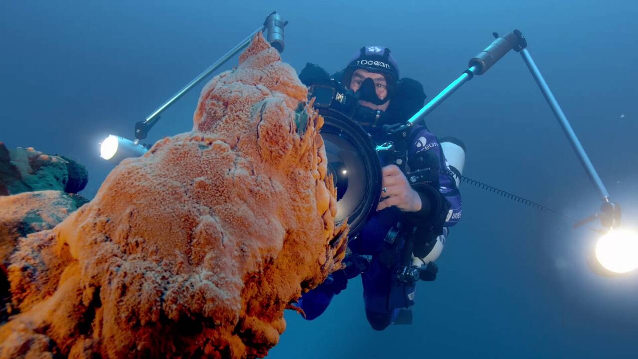 Époustouflant : une expédition plonge au cœur des volcans sous-marins en mer Méditerranée