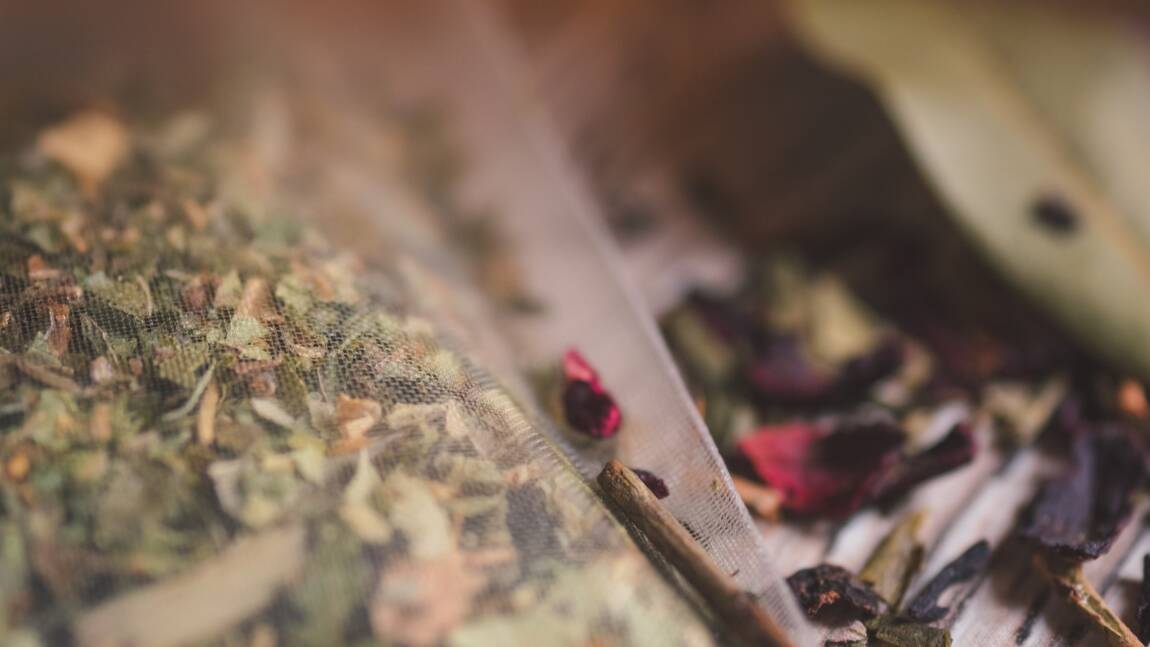 Des restes d’insectes identifiés dans des sachets de thé