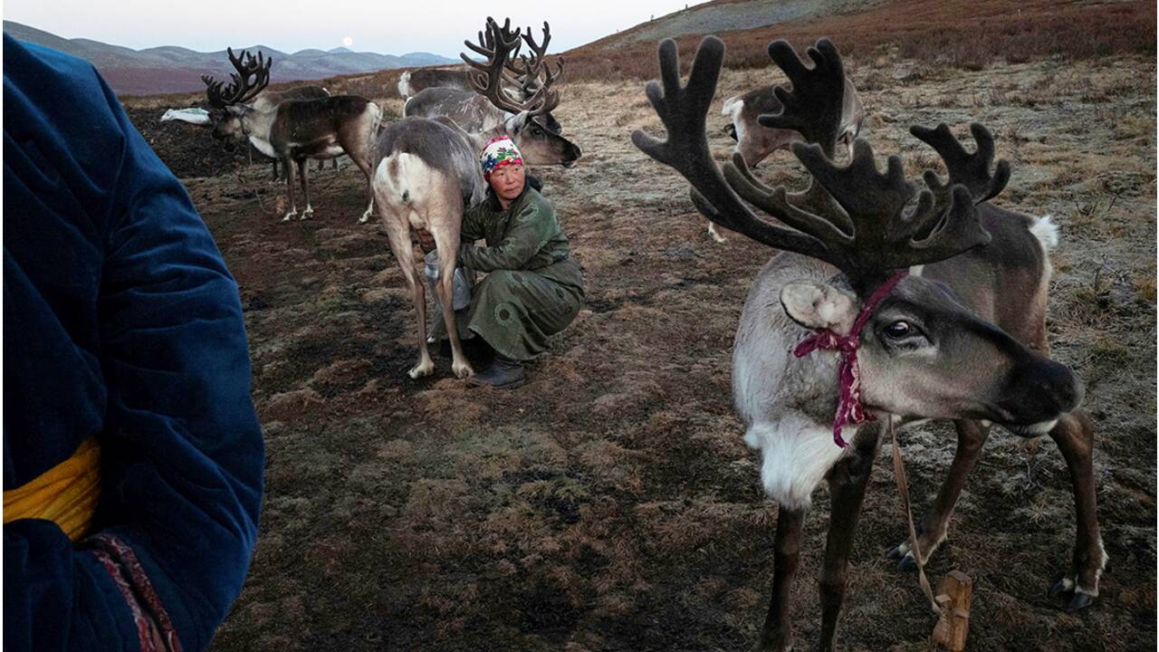 Mongolie : voyage avec les Dukha, éleveurs de rennes semi-nomades