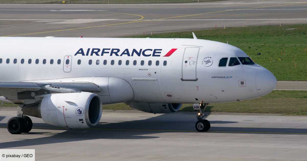 Air France va cesser d'expédier des singes vers des laboratoire