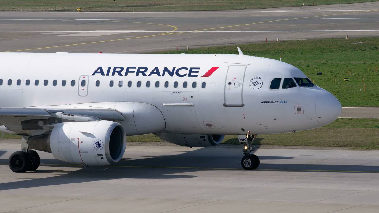 Air France va cesser d'expédier des singes vers des laboratoires