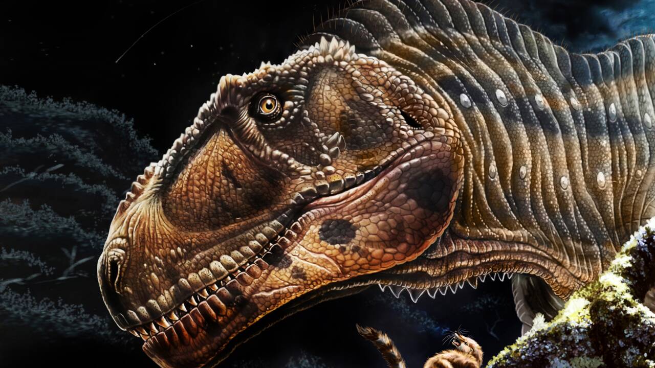 Pourquoi le T. rex avait-il de petits bras ? Un nouveau dinosaure carnivore relance le débat 