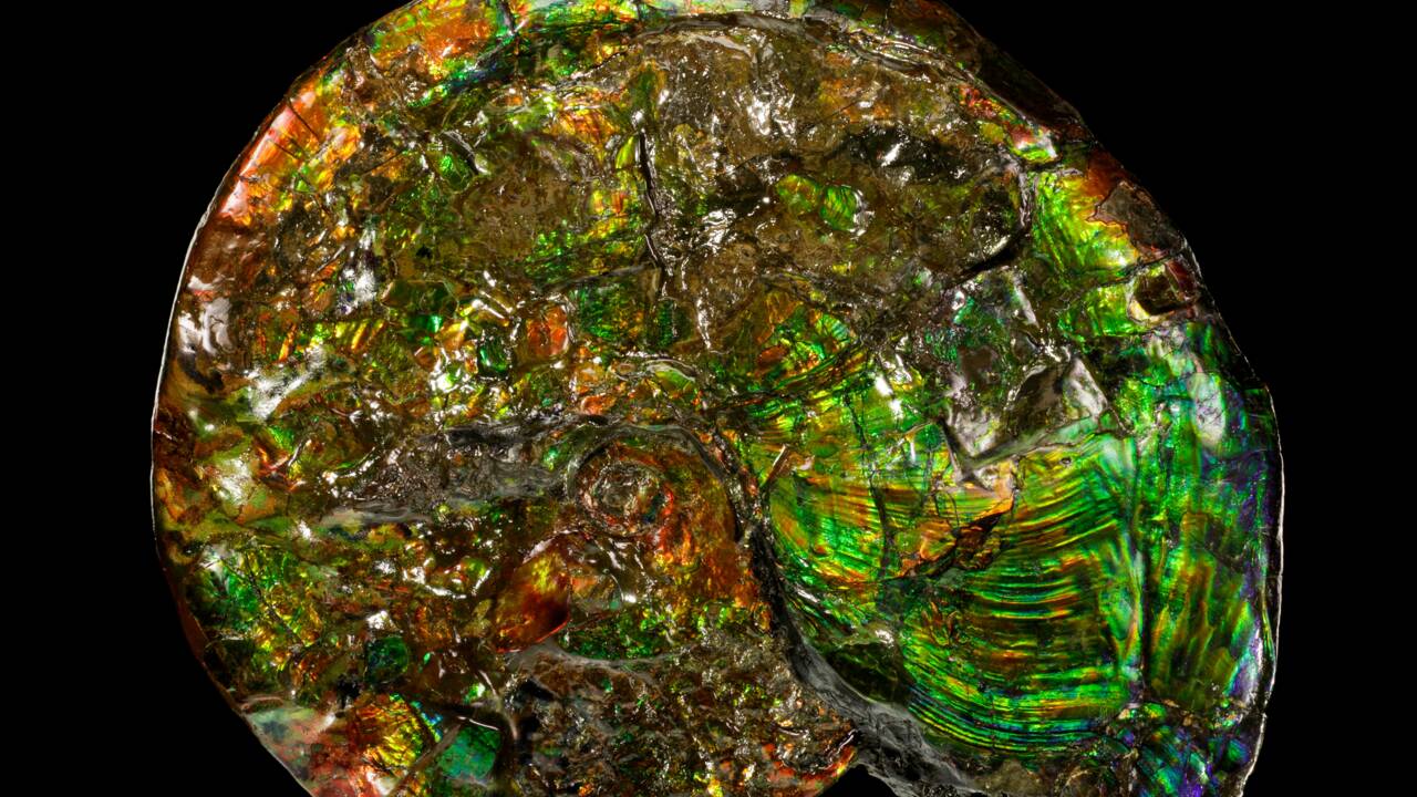 Pierres précieuses et autres merveilles géologiques : des chercheurs recensent plus de 10.000 types de minéraux sur Terre