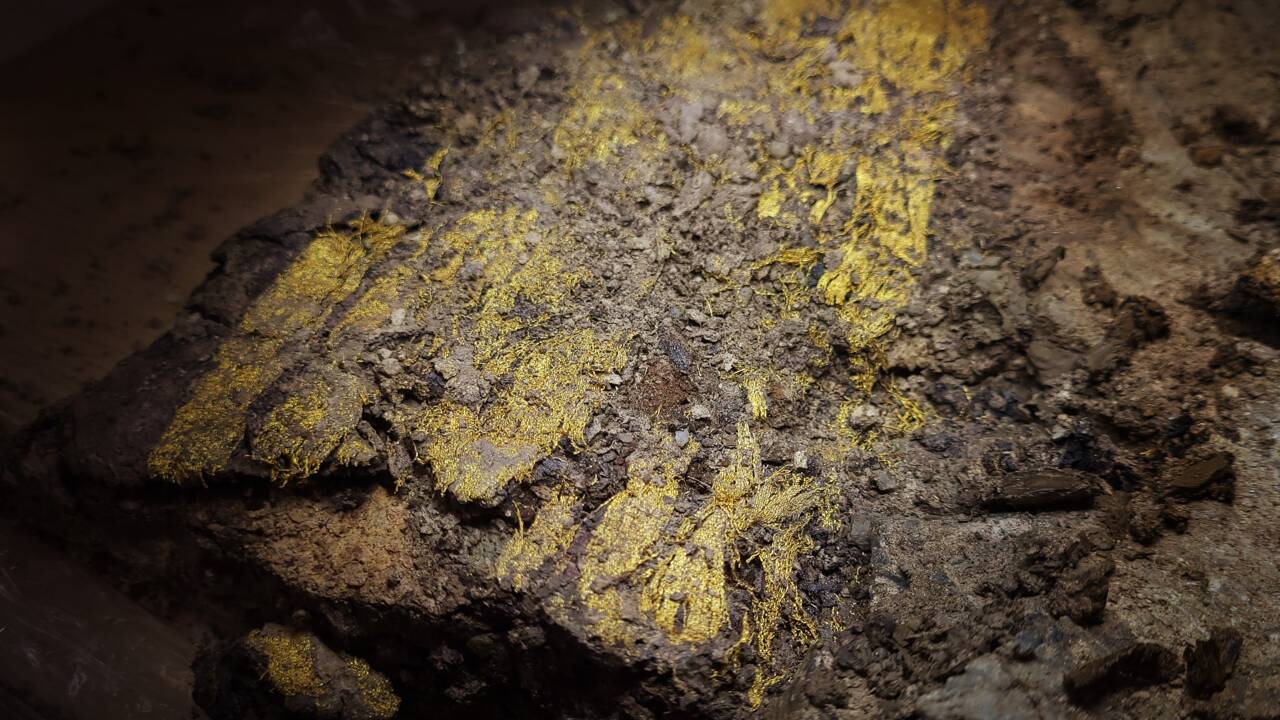 Une étoffe tissée d'or antique, la plus grande jamais découverte, révélée en Saône-et-Loire