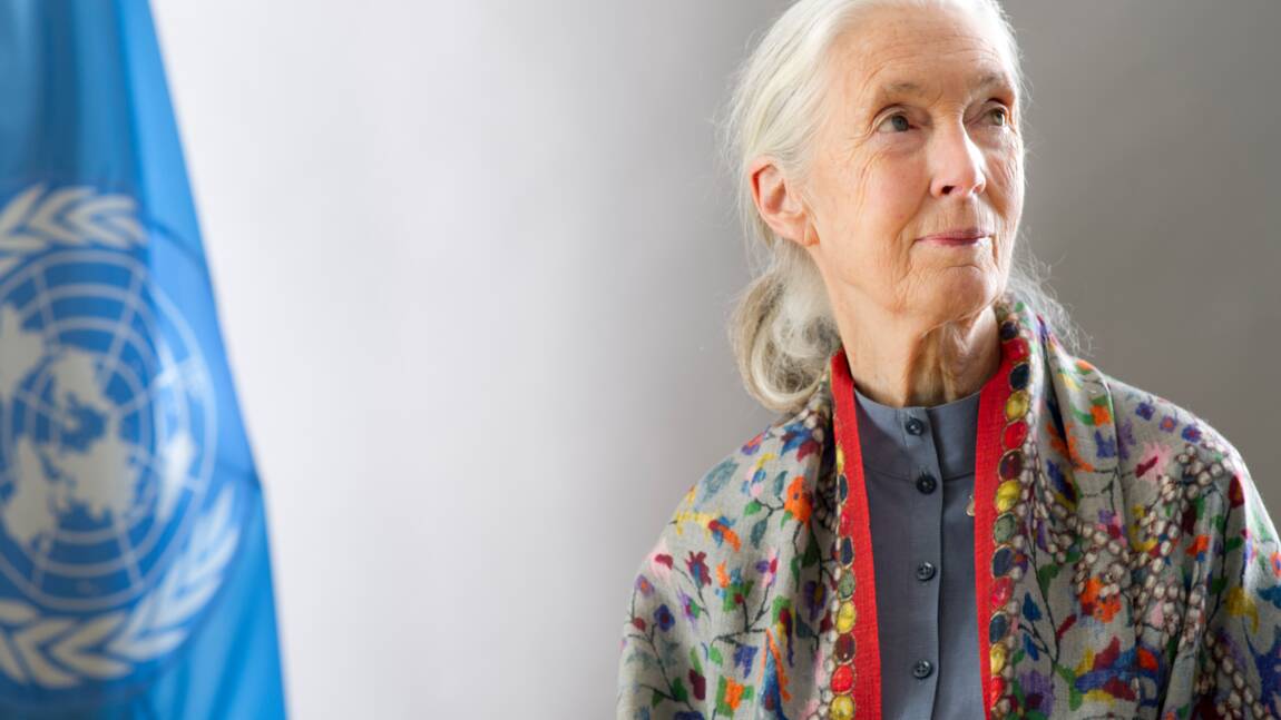 La primatologue Jane Goodall a une poupée Barbie à son effigie