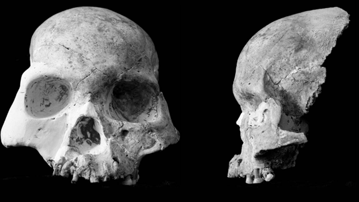 Des os découverts en Chine appartiendraient aux premiers Américains, selon une étude