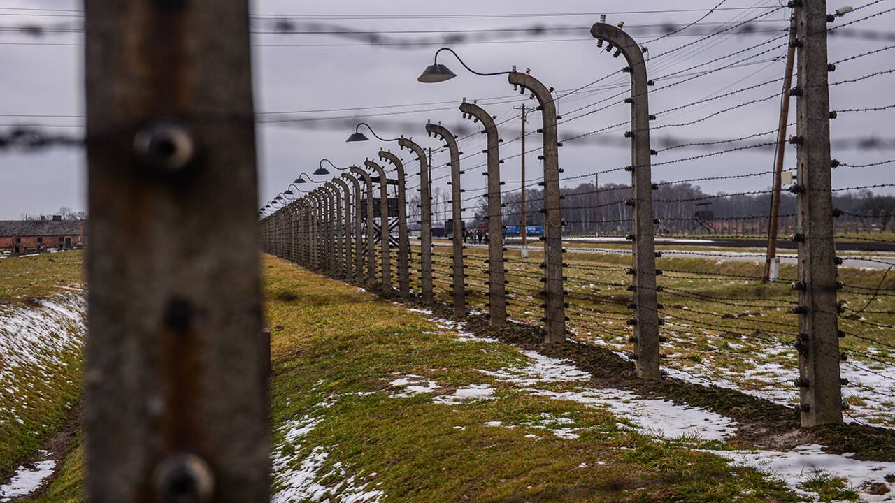 Pologne : les restes de 8.000 victimes de la terreur nazie retrouvés