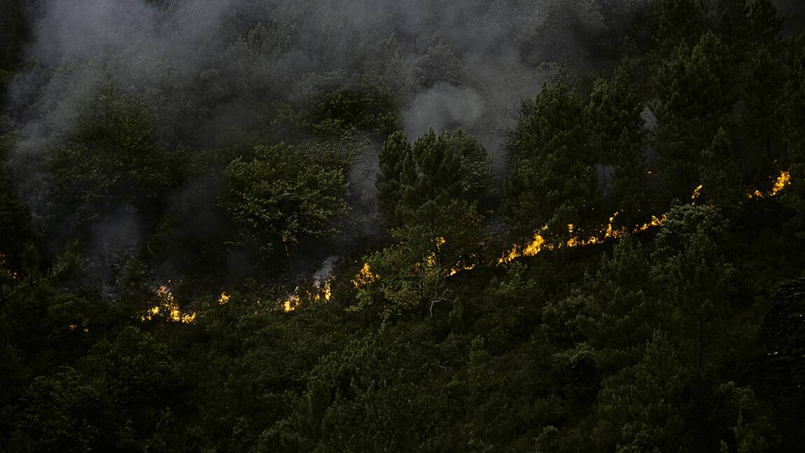Gironde : plus de 7.000 hectares brûlés lors des feux de forêt