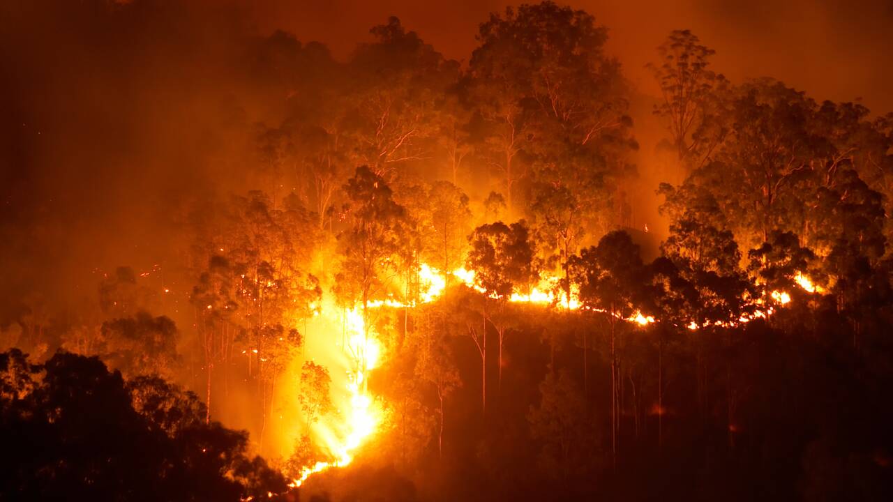 Feux de forêt : 9 incendies sur 10 sont d'origine humaine, quels gestes adopter pour les éviter ?