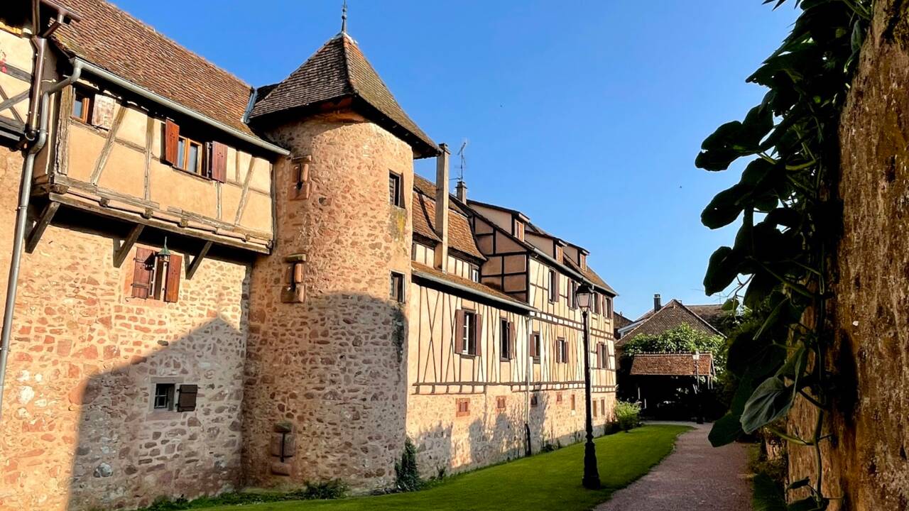 Que faire à Riquewihr, l'un des Plus Beaux Villages de France ?