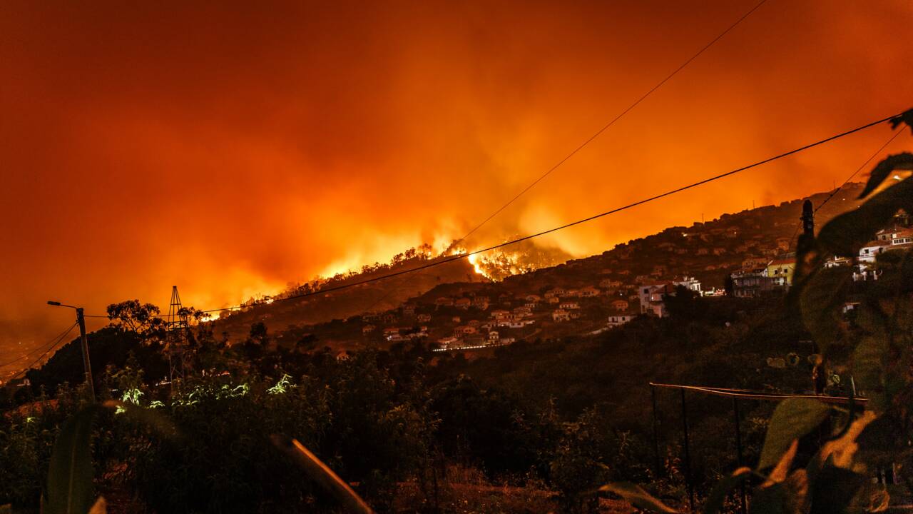 Changement climatique : vers une année record d'incendies en Europe ?