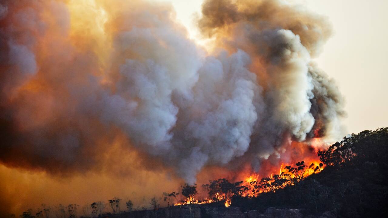 Incendies en forêt : qu'est-ce-que les "mégafeux"?