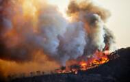 Incendios forestales: qué son 