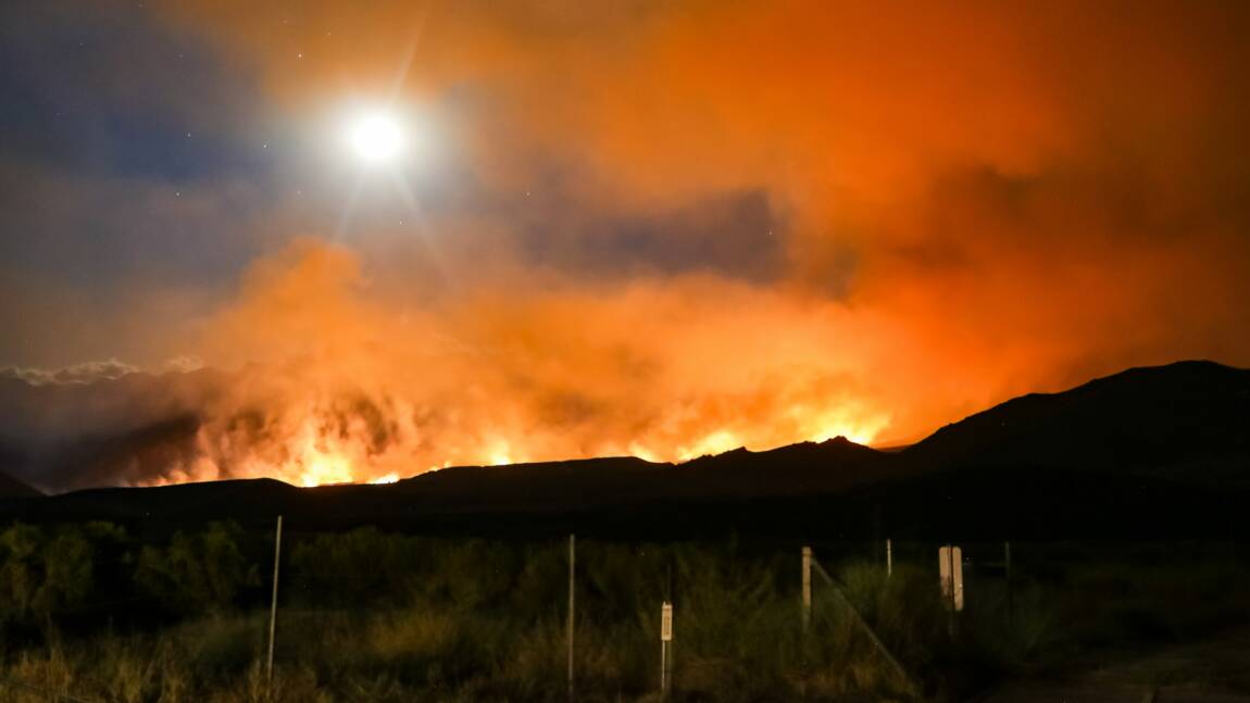 L'incendie "Oak Fire" ravage des milliers d'hectares de forêt en Californie
