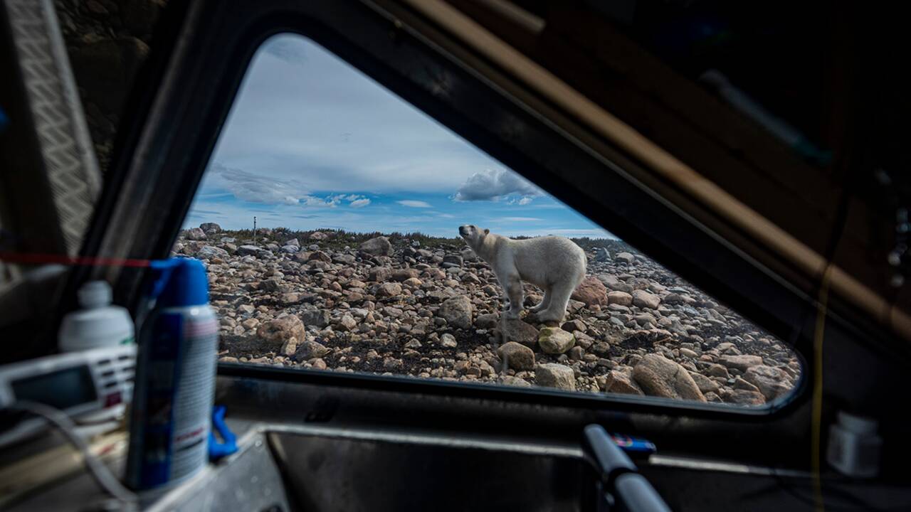 Reportage photo : 33 jours en terre des ours