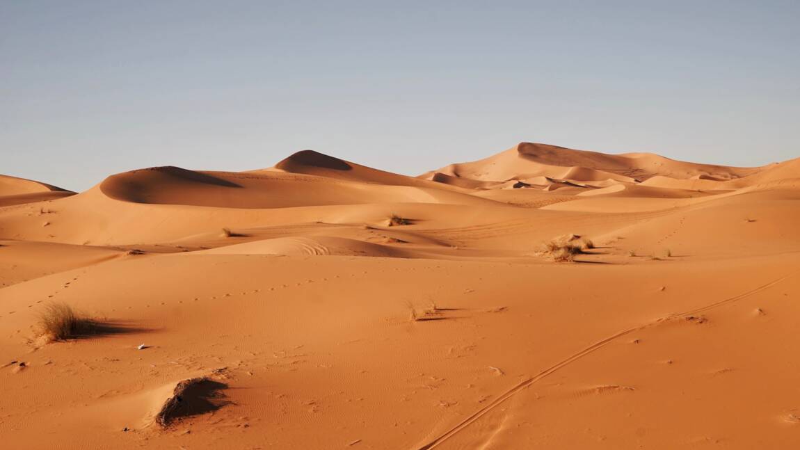 Algérie : 3 découvertes de gisements de gaz et de pétrole dans le Sahara