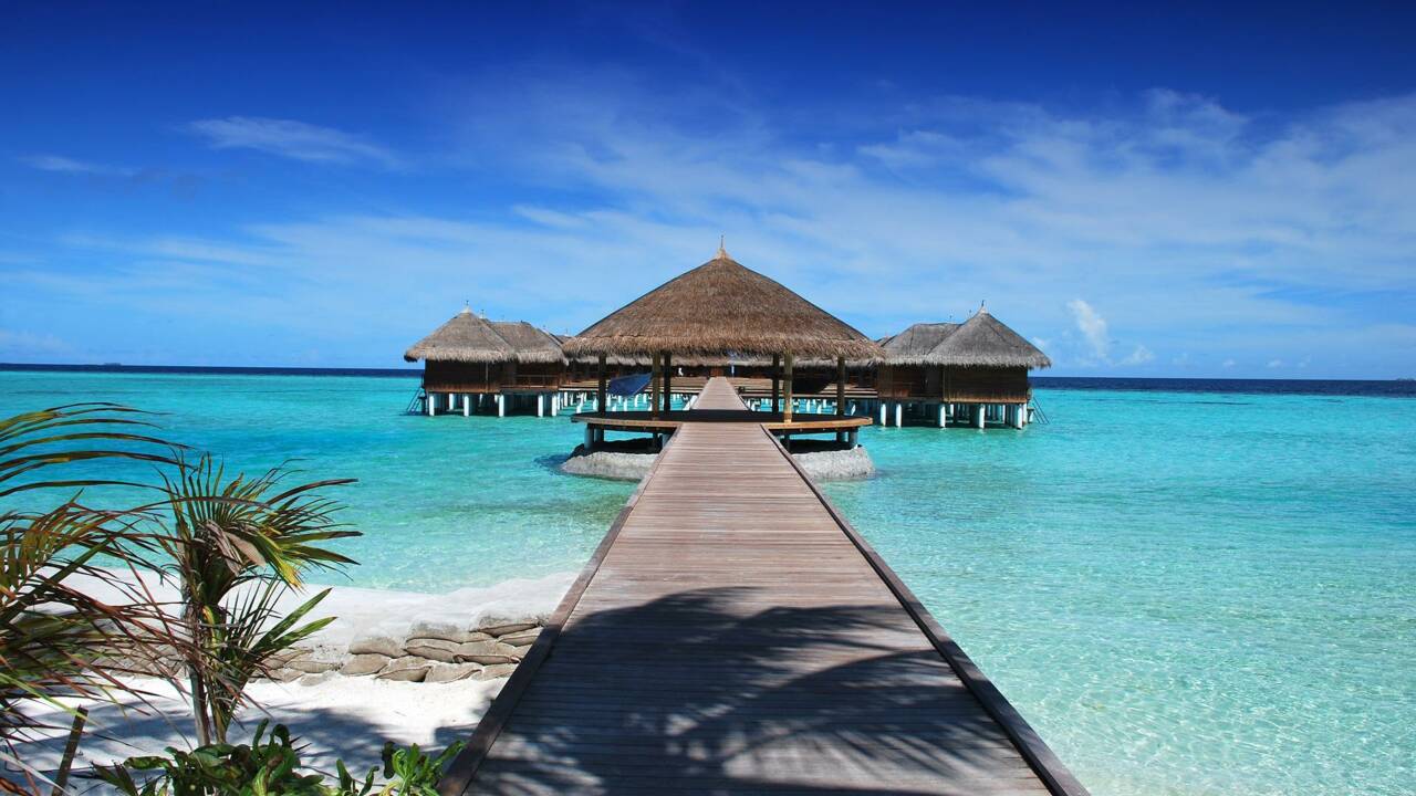 Alerte job de rêve : devenez libraire "les pieds dans le sable" pour un hôtel de luxe dans les Maldives