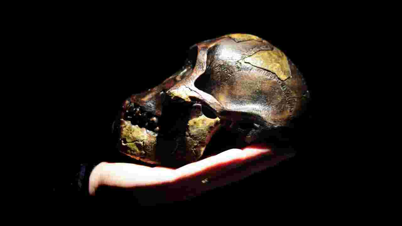 Pourquoi Lucy est-elle la plus célèbre des australopithèques ?