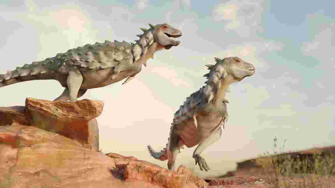 Jakapil, un nouveau dinosaure petit mais robuste exhumé en Argentine 