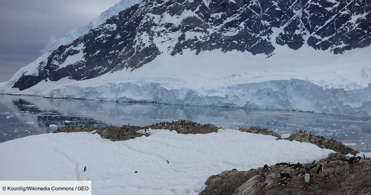 Antarctique : une carotte de glace contient un échantillon d'atmosphère vieux de 5 millions d’années