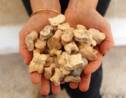 Découverte de rares osselets antiques dans l'ancienne ville israélienne de Maresha