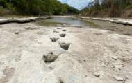 Drought reveals dinosaur tracks in Texas riverbed