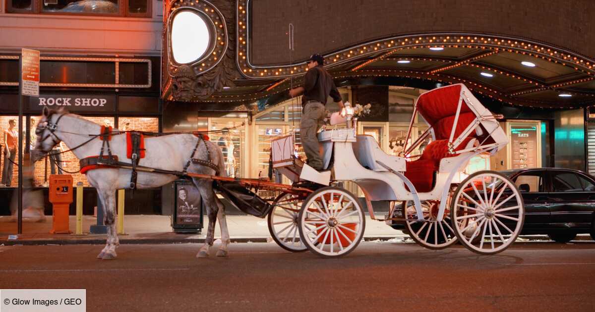 New York’s horse-drawn carriages, increasingly criticized tourist attractions