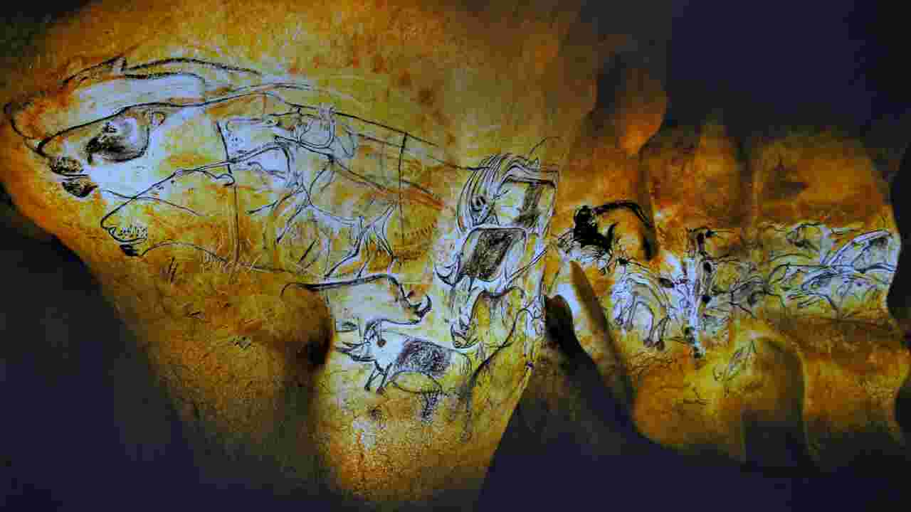 Grotte Chauvet : l'analyse d'excréments révèle la présence d'une louve vieille de 35.000 ans 