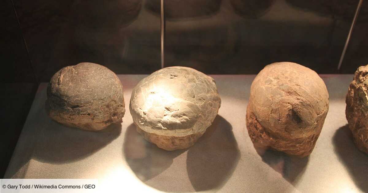 Des œufs de dinosaure remplis de cristal découverts en Chine