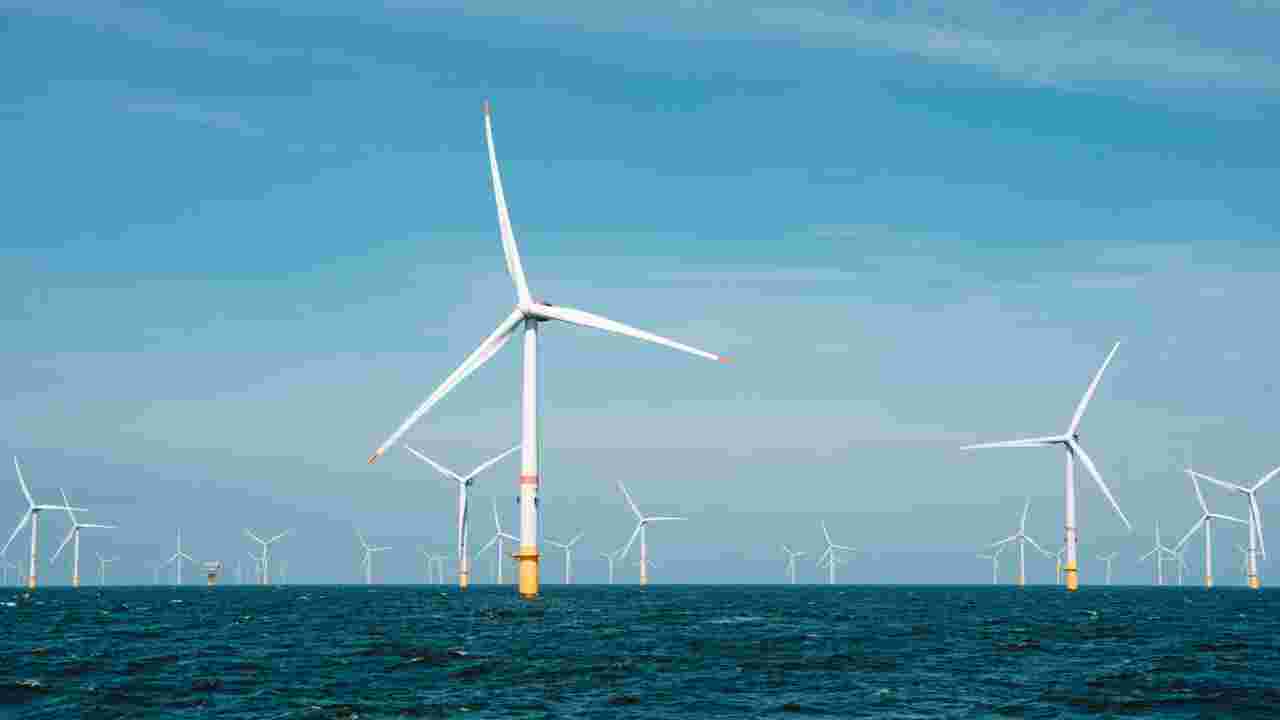 Energies renouvelables : le tout premier parc éolien en mer français, inauguré par Emmanuel Macron