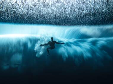 Ocean Photographer of the Year 2022 : et les plus belles photos sous-marines de l'année sont...