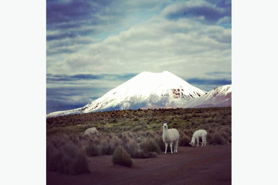 Bolivie les plus belles photos de la Communauté GEO GEO