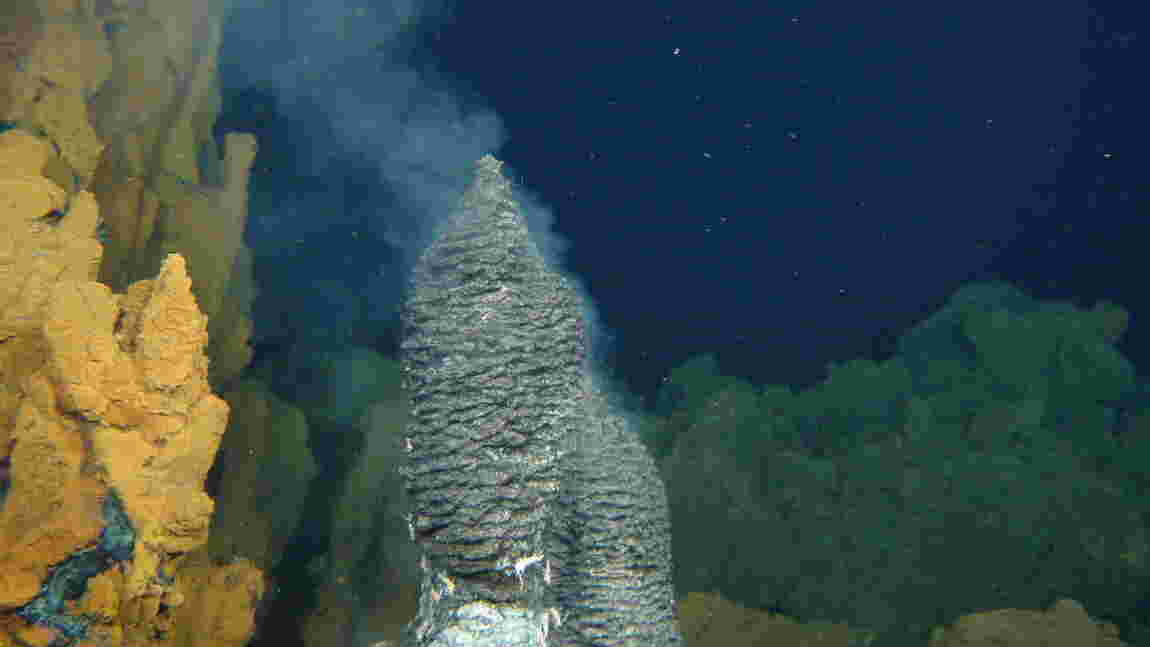 Exploitation des fonds marins : députés et ONG demandent à la France de s'engager pour un moratoire