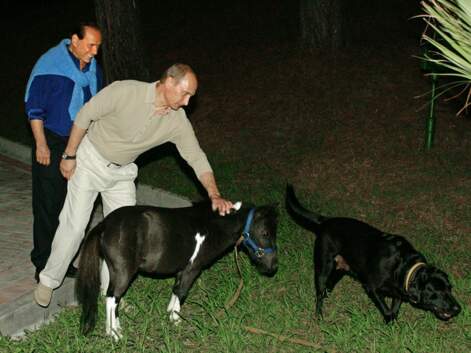Les 20 photos de propagandes les plus étranges de Poutine et Kim Jong-Un