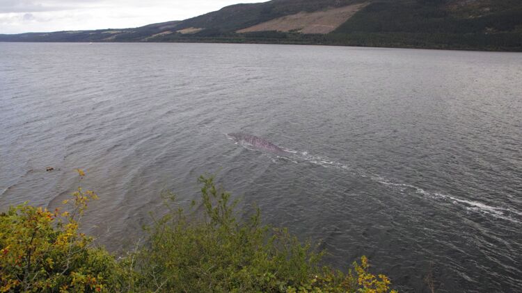 Monstre du Loch Ness : de nouvelles photos relancent le mystère Loch-ness