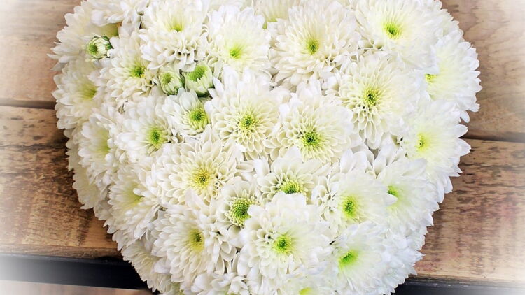 Qui a inventé la fête des grands-mères ? (C'est aujourd'hui) - Ça m'intéresse - La curiosité en ...