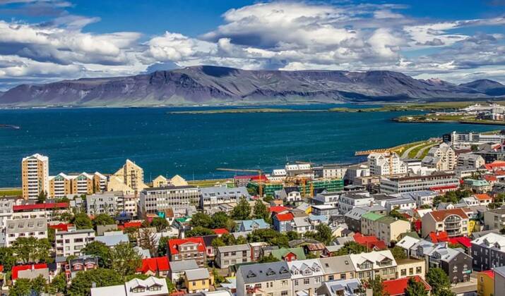 Islande : la polémique enfle autour du harponnage d'un cétacé