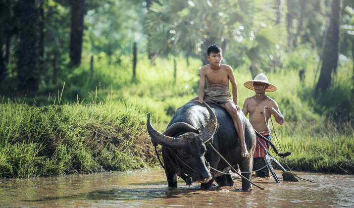 Indonésie : à Sumbawa, sur l'île des enfants cavaliers